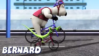 Bernard Bear | Crazy Bike Race! AND MORE | Cartoons for Children