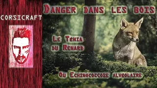 Danger : Le ténia du Renard ou l'echinococcose !