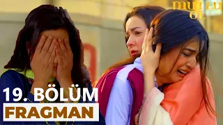 Mutlu Ol 19. Bölüm Fragmanı (30 Ekim Pazartesi)