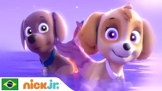 Patrulha Canina | Os filhotes salvam um filhote de sereia | Nick Jr. em Português