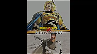 Sentry vs MetroMan