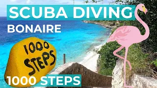 1000 Steps Dive Guide - Scuba Diving Bonaire