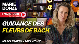 Guidance des Fleurs de Bach : Et si les fleurs détenaient vos réponses - EN DIRECT avec Marie DONZE