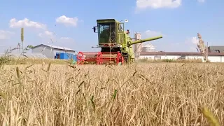 Żniwa 2023/ Claas Mercator 60/ Claas Mercur