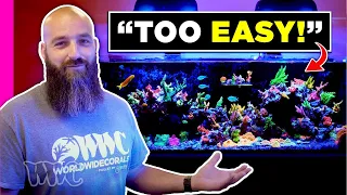 You Won't Believe the Growth Inside This Office Tank!!!