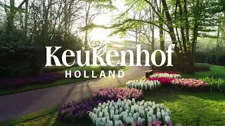 Keukenhof is ready to open!🌷 | Keukenhof 2022