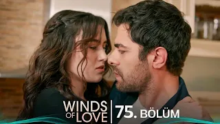 Rüzgarlı Tepe 75. Bölüm | Winds of Love Episode 75