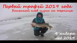 Первый трофей 2019 года. Бешенный клёв щуки на жерлицы!