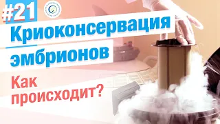 Как происходит криоконсервация эмбрионов