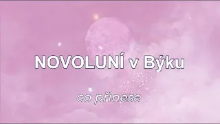 NOVOLUNÍ v Býku 8.5. WAU nový ZAČÁTEK🥈 nové projekty, láska❤️ dořešení něčeho starého 🌈