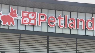 Houston pet store being protested for allegedly selling pets from 'puppy mills'