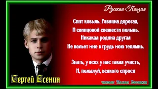 Спит ковыль равнина дорогая — Сергей Есенин —читает Павел Беседин