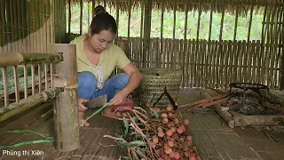 She alone harvests lychees to sell for extra income, Phùng thị Xiên