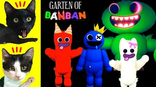 Rainbow friends vs Garten of Banban / Videos de gatos Luna y Estrella jugando Roblox en español