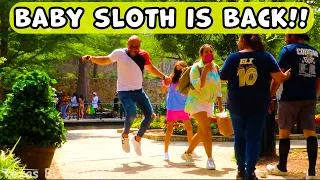 Return of the Sloth!! Bushman Prank 2022!!