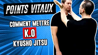 Comment mettre KO avec les POINTS VITAUX [Kyusho Jitsu - Self défense]