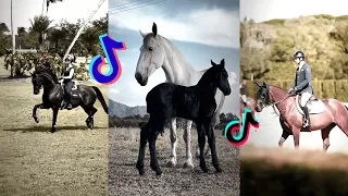 🐴10 Minutes Of Beautiful HORSES TikTok Compilation🐴 #7