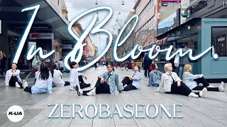 [KPOP IN PUBLIC AUSTRALIA] ZEROBASEONE(제로베이스원) - 'In Bloom' 1TAKE DANCE COVER