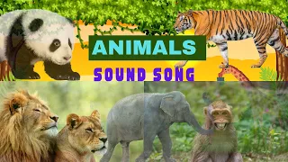 Animal phonic song | poem | ABCD song | Jungle Jam | Cartoon | English rhyme for kids