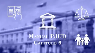 Capítulo 6:  Procedimientos ante los Juzgados de Familia - Manual único para Tribunales