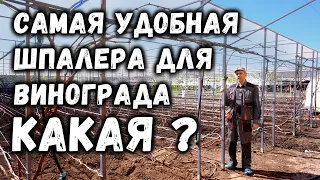 Самая удобная шпалера для винограда - какая?