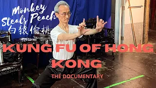 The Iron Wire Fist of Hung Gar - Kung Fu of Hong Kong ep2