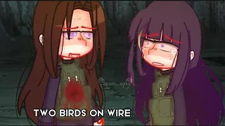 Two birds on a wire..//⚠️TW: Blood⚠️//Angst//Neji&Hinata//Naruto//