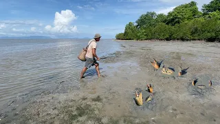 Catching Huge Mud Crabs In Sea after Water Low Tide