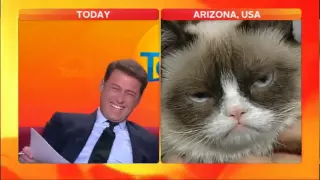 Anchor loses it in Grumpy Cat interview