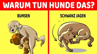 Die 15 Seltsamsten Verhalten Von Hunden Erklärt!