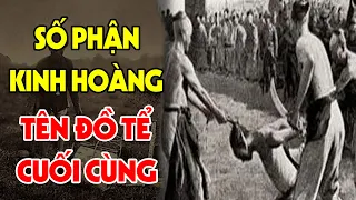 "TẤN BI KỊCH" Ký Ức Kinh Hoàng của Đao Phủ Cuối Cùng Triều Nguyễn Khiến Triệu Người Run Sợ