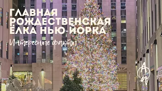 Рождественская ёлка Рокфеллеровского центра  Интересные факты  Christmas Tree 2021