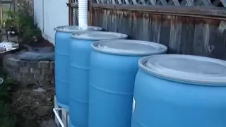 DIY Multiple Rain Barrel System How To