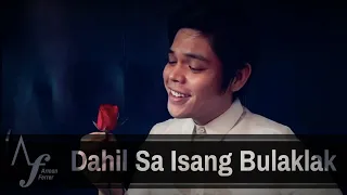 "Dahil sa Isang Bulaklak" cover by Arman Ferrer