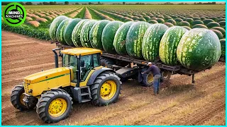 The Most Modern Agriculture Machines That Are At Another Level,How To Harvest Watermelons In Farm▶11