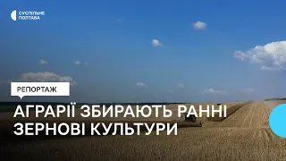 Аграрії Полтавщини збирають ранні зернові культури