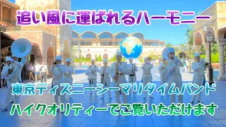 【高音質.高画質】東京ディズニーシー/ 東京ディズニーシー・マリタイムバンド 2023.8.11