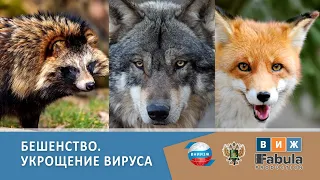 Бешенство. Укрощение вируса