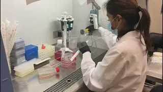 University of Houston researchers develop new method to detect tumors with blood sample