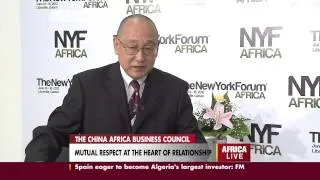 An interview with the Vice President of the China Africa Business Council