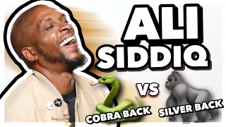 Ali Siddiq tells hilarious prison story! The Cobra Back  vs the Silver Back body building! 🤣😂🤣