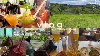 VLOG: CHOPPING LIFE, SAFARI PARKS, LUNCH DATES & SAYING GOODBYE TO 2021 🤍 | South African Youtuber