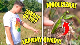 ZNALAZŁEM MODLISZKĘ! WYPRAWA PO JEDZENIE DLA MRÓWEK I PAJĄKÓW!