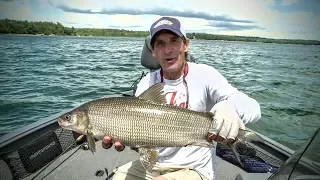 Catching Whitefish 101