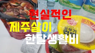 제주도 한달 생활비는 얼마나 들까? 현실적인 제주살이 비용 총정리