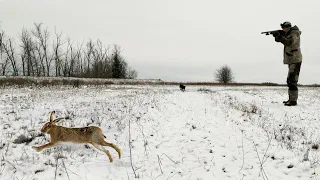 КРАСОЧНАЯ ОХОТА НА ЗАЙЦА ПО ПЕРВОМУ СНЕГУ. Два дня на охоте