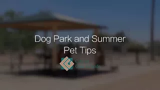 Dog Park and Summer Pet Tips