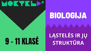 Mokykla+ | Biologija | 9 - 11 klasė | Ląstelės || Laisvės TV X