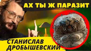 ДРОБЫШЕВСКИЙ: Кто мы есть, кто нас ест?// ПАРАЗИТЫ