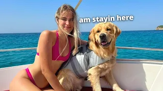 Surprising My Dog With A Seaside Vacation